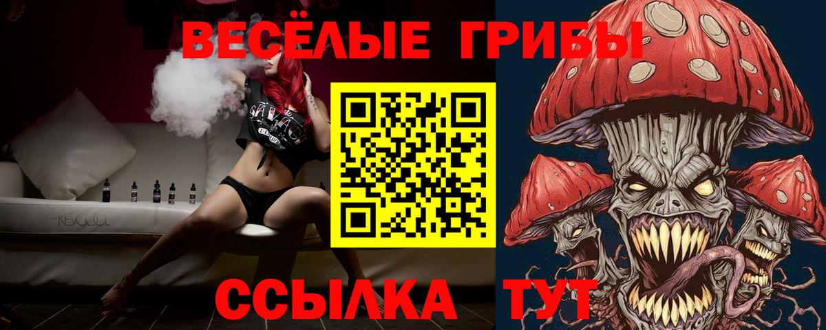 Галлюциногенные грибы Cubensis  Вход с VPN  Жигулёвск 